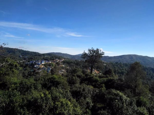 蘭香賀開，甘甜賀開