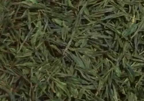 什么是海青茶？沖泡手法詳細教學(xué)！