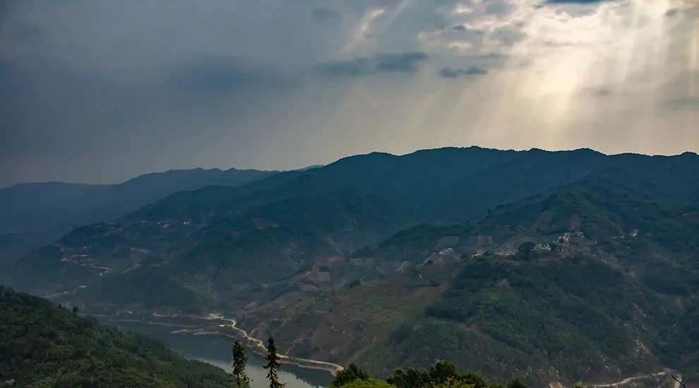 2021年磨烈：風(fēng)頭正勁的后起之秀，到底有何特點？