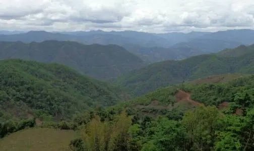 2021那罕古樹秋茶特點(diǎn)？