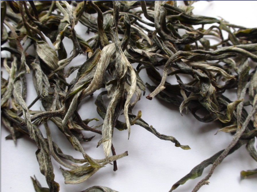 2021年馬鞍山古樹秋茶價(jià)格？