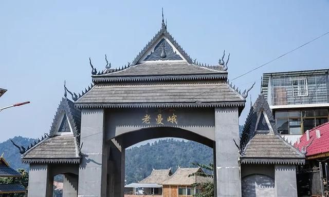 2021年老曼峨古樹秋茶特點(diǎn)？