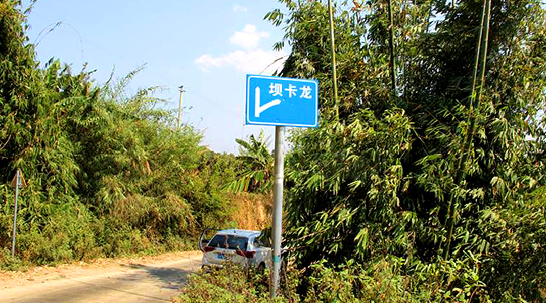 2021班章茶區(qū)壩卡竜古樹秋茶特點(diǎn)！