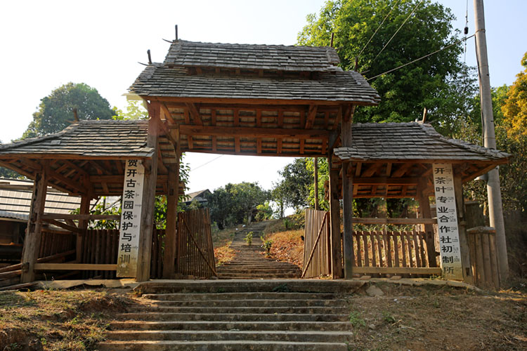 2021年賀開古樹秋茶特點(diǎn)？