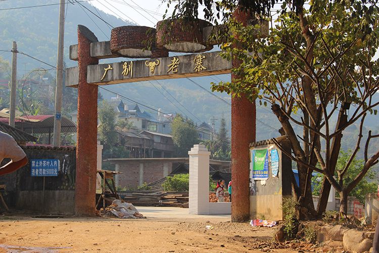 2021年廣別老寨古樹秋茶口感？