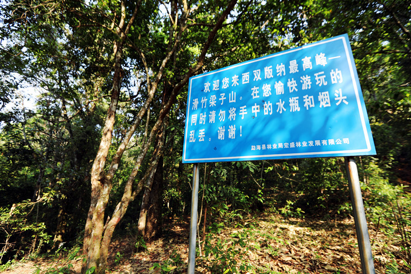 2021年滑竹梁子古樹秋茶價(jià)格？