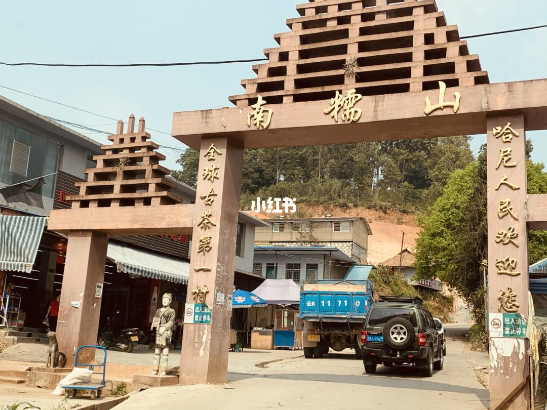 2021年南糯山半坡老寨古樹(shù)秋茶多少錢(qián)一公斤？