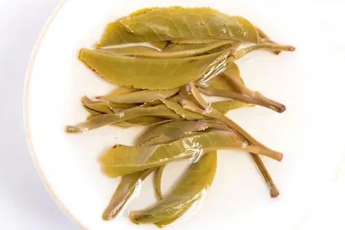 2021年南糯山拔瑪老寨古樹秋茶多少錢一公斤？