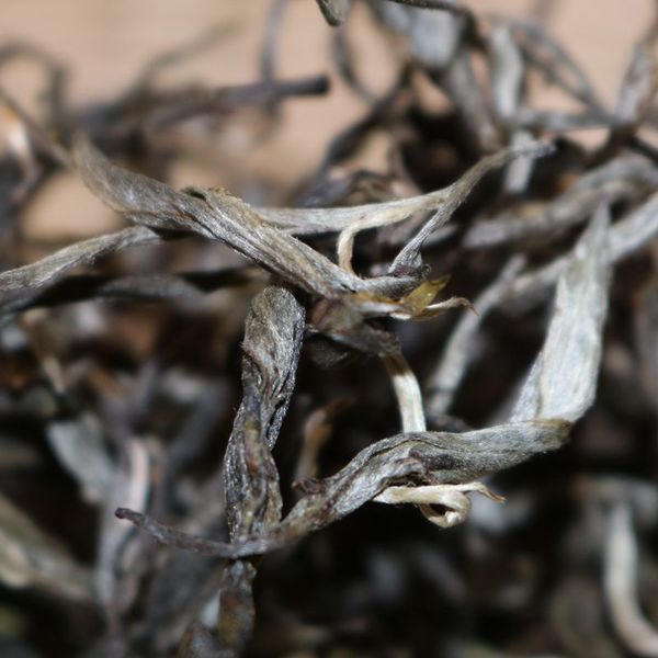 2021年帕沙古樹秋茶，你了解多少？