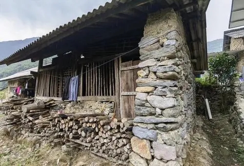 2022年景谷黃草壩古樹春茶特點(diǎn)是什么？