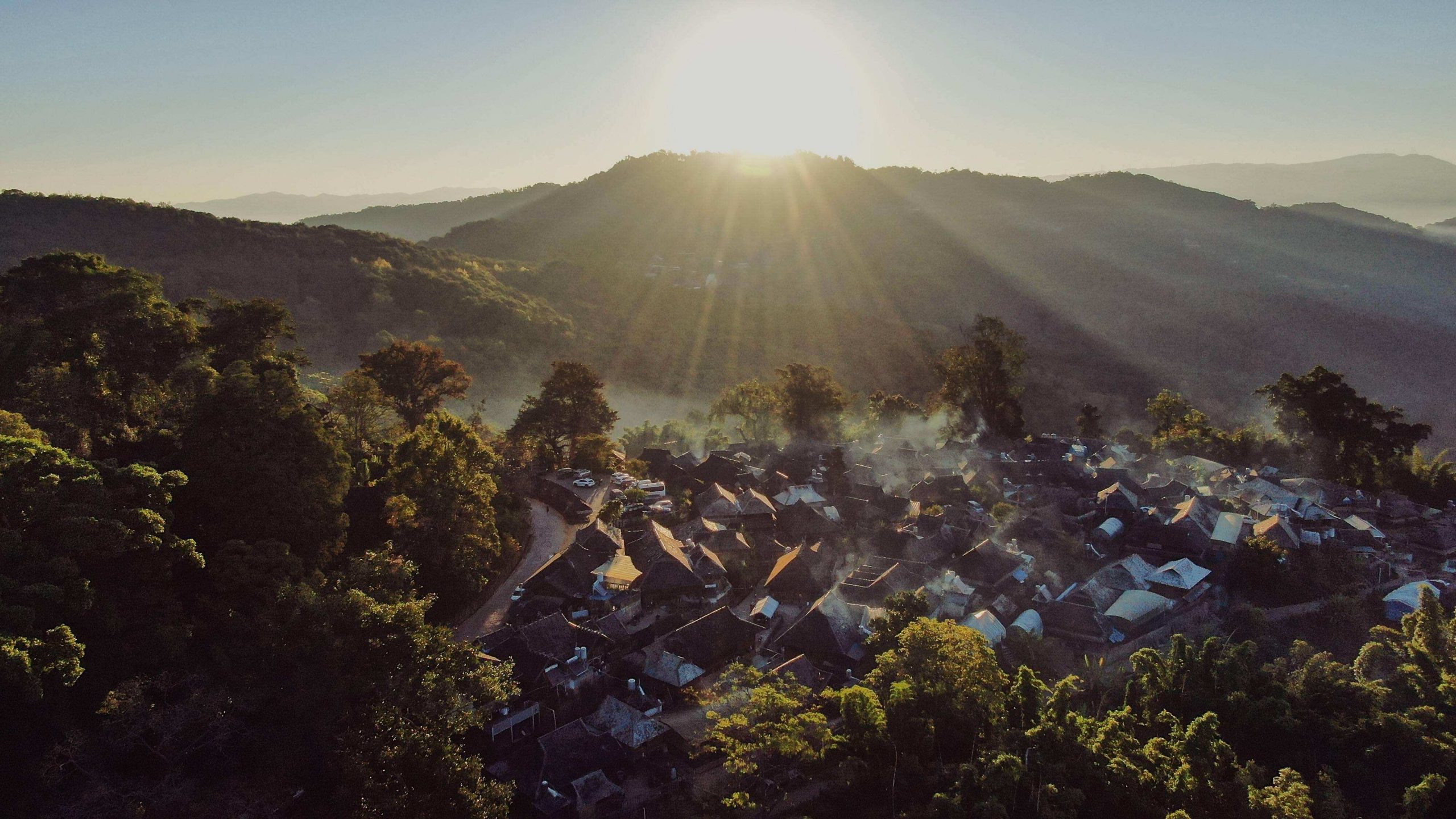 2022年景邁山古樹春茶特點？