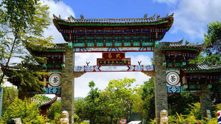 2022年易武正山在哪？易武正山是什么意思？