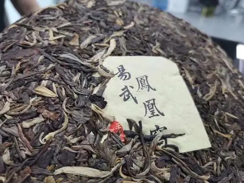 2022年鳳凰窩古樹高桿，鳳凰筑巢的地方