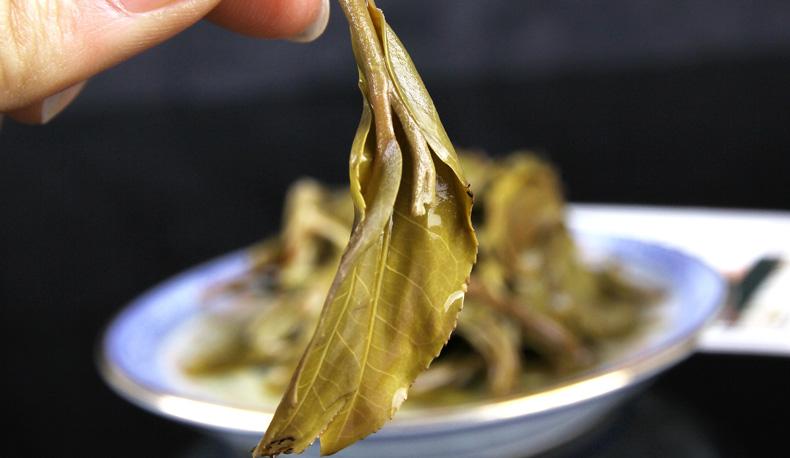 2022年冷水河古樹(shù)春茶價(jià)格？