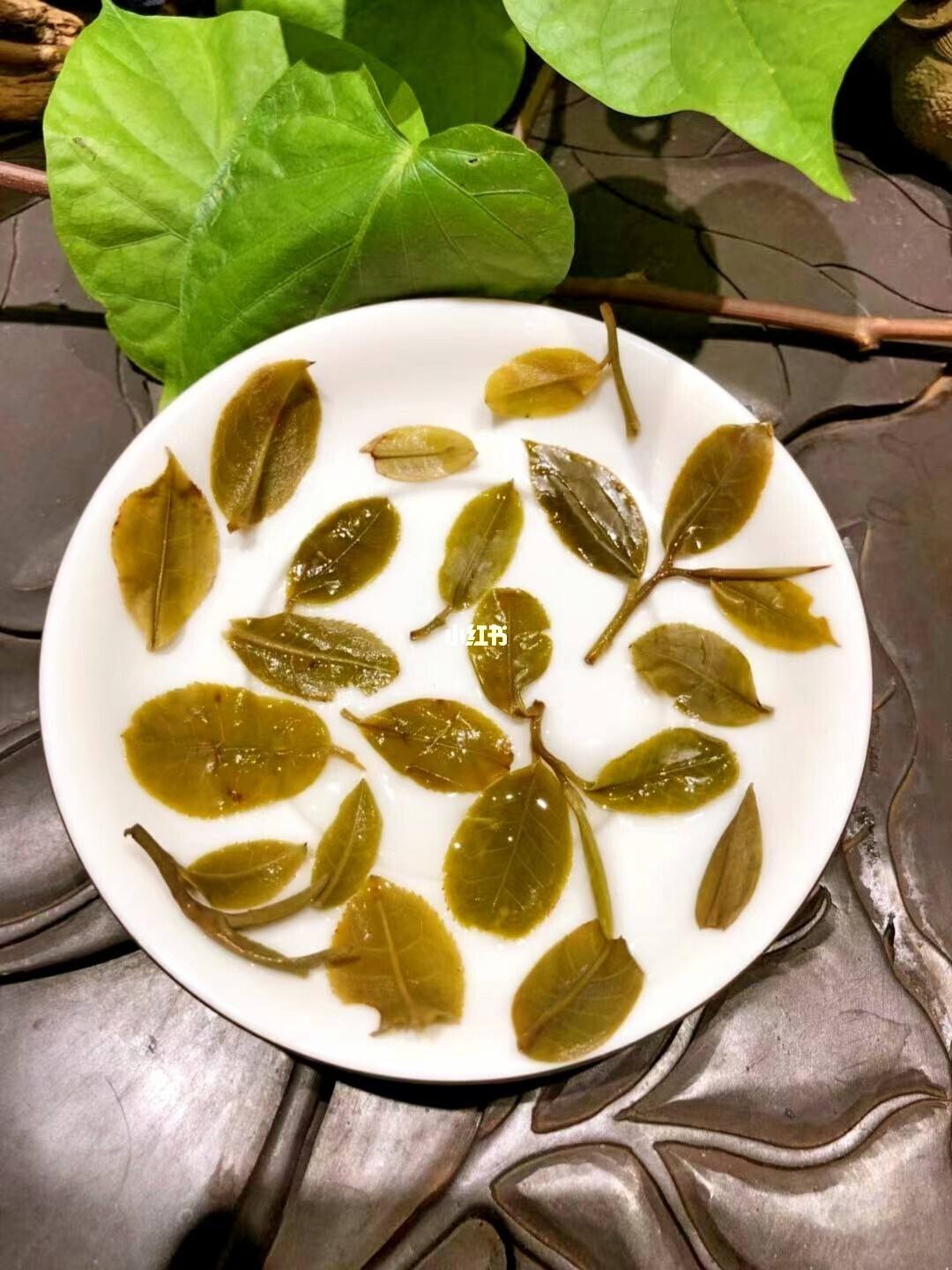 2022年倚邦貓耳朵古樹春茶多少錢一公斤？