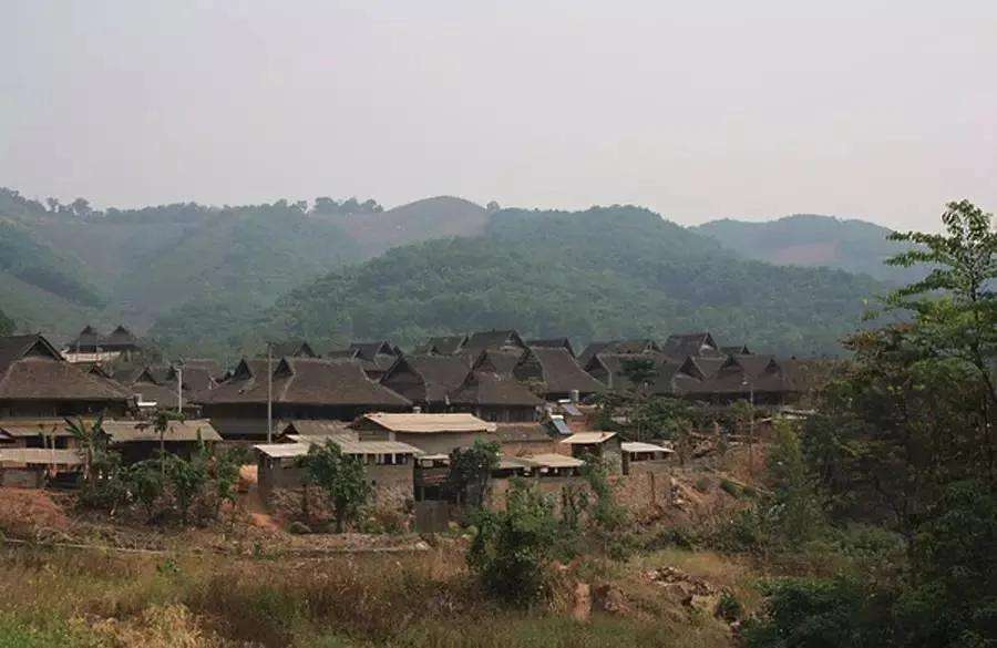 2022年革登古樹春茶特點？