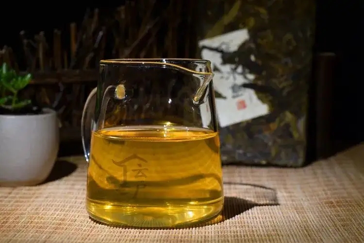 有茶油的普洱茶正常嗎？茶油是如何形成的？