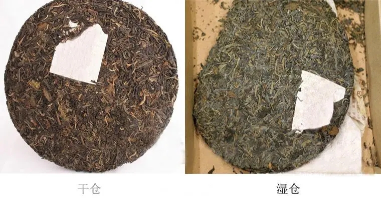 普洱茶怎么分辨干濕倉？