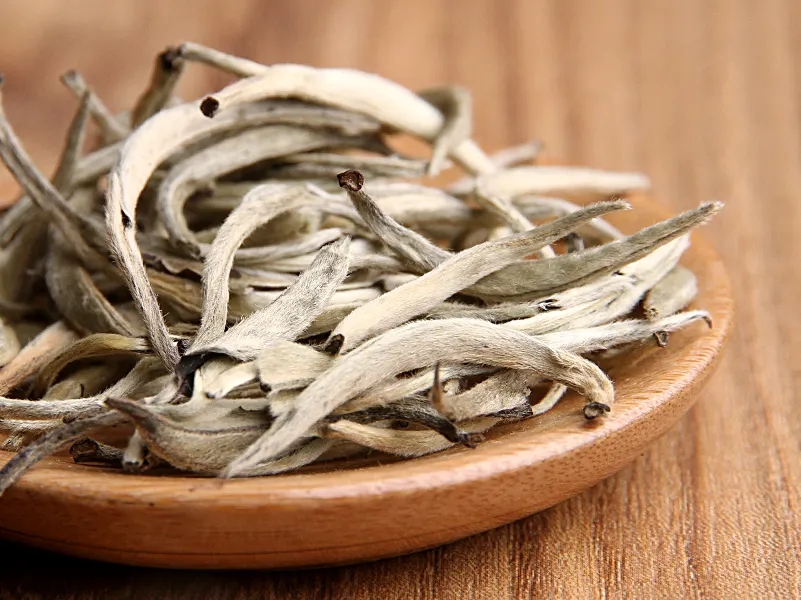 福鼎白茶、安吉白茶、云南月光白“三白”的區(qū)別