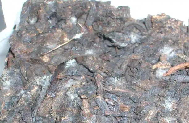 ?普洱茶發(fā)霉了怎么辦？教你妙招應(yīng)對發(fā)霉的普洱茶！