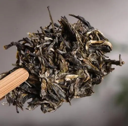 茶無(wú)貴賤！這些不知名的山頭，其實(shí)也產(chǎn)優(yōu)質(zhì)普洱茶！