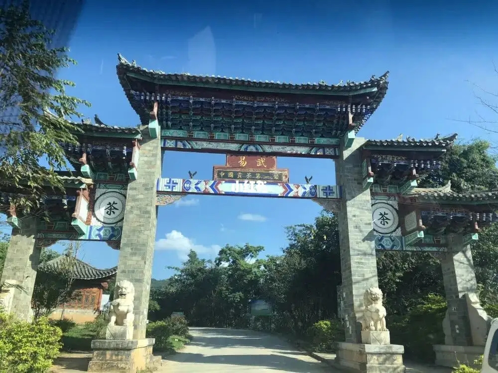 古樹茶年份越老，茶葉就越好嗎？影響茶葉品質(zhì)的因素有哪些？