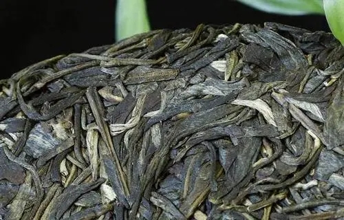 喝普洱茶，一定要喝老茶嗎？
