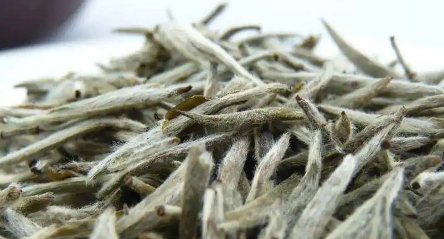 茶毫越多的茶，品質就越高嗎？