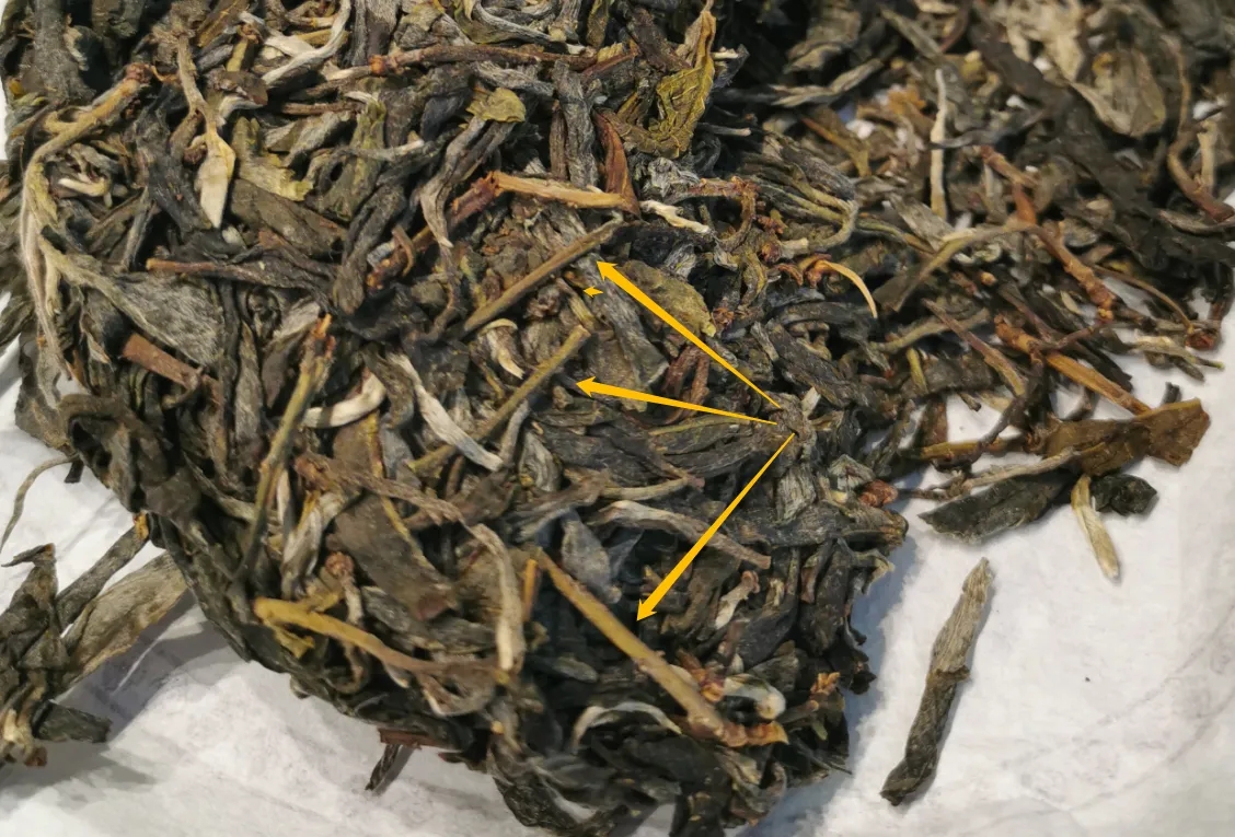 普洱茶的葉底有茶梗，就是茶不好嗎？