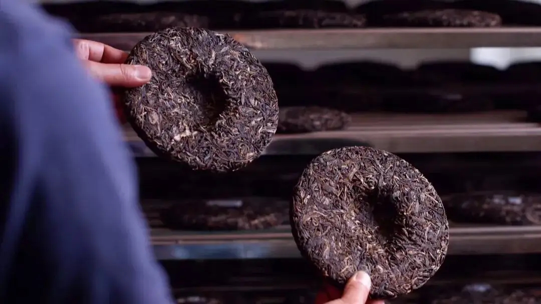 喝茶人都關(guān)心的普洱熟茶4大超核心問題！