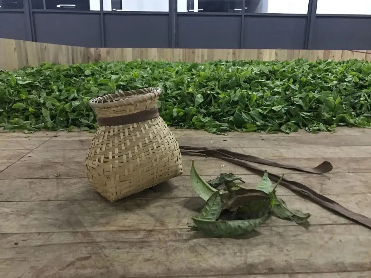 普洱茶，如果不談山頭，我們談什么？