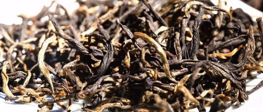 什么是茶氣？茶氣強勁又是一種怎樣的體驗？