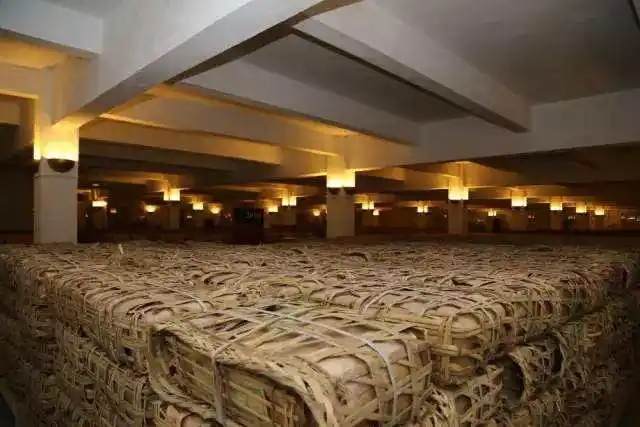 云南古樹普洱茶好在哪？相比小樹茶、臺地茶有何不同？