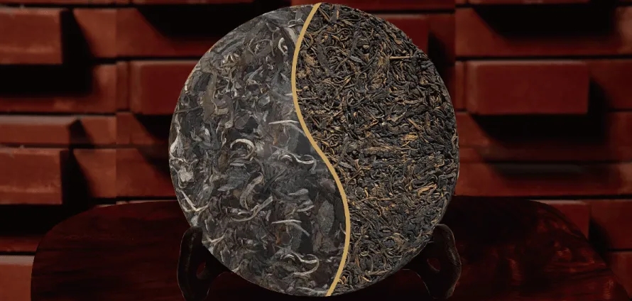 一入普門深似海？入普洱門前，你需要了解這些