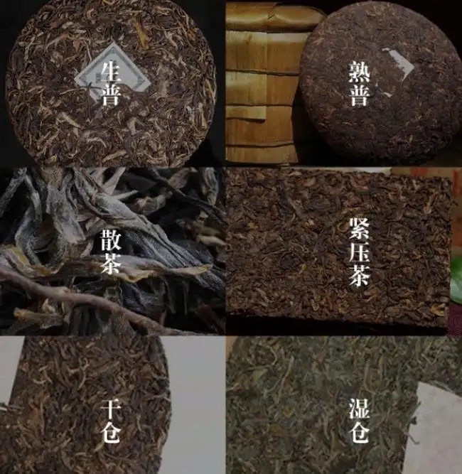 普洱茶不是越陳越香嗎？怎么也有最佳品飲期？