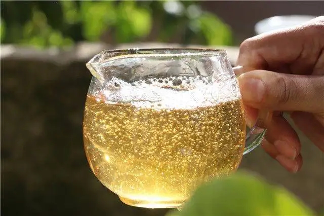 茶顏觀色”，看普洱茶條索里都蘊含著怎樣的“密碼”？