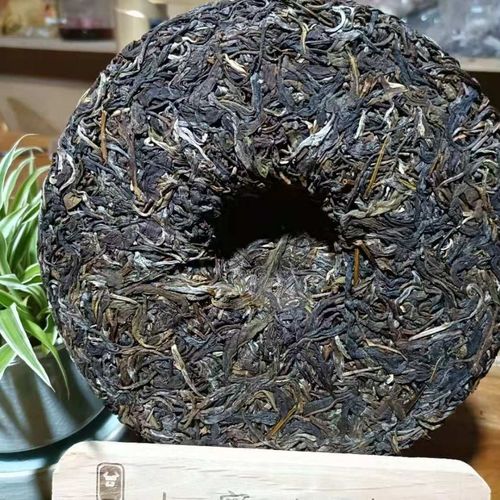 勐庫茶到底是個啥味道？