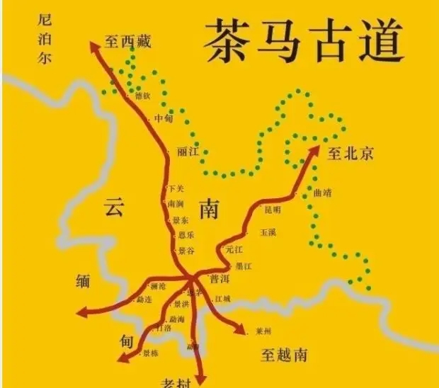 普洱茶馬古道的前世今生