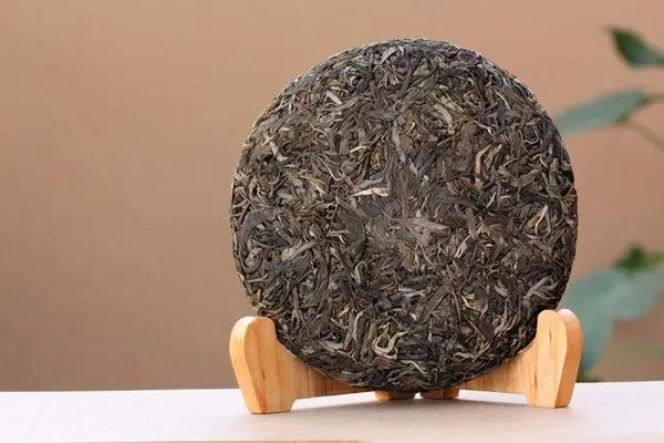 普洱茶入門首要問題，弄清楚，才能喝好茶