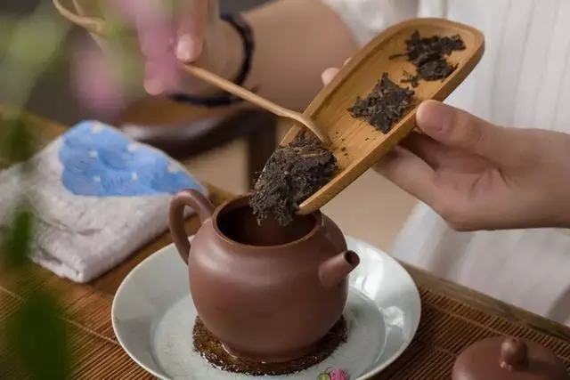 普洱茶藝詞的完美解釋