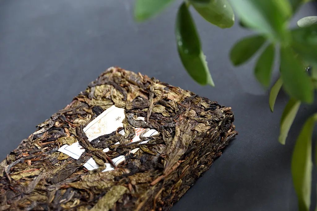 普洱茶古樹黃片，性價比超高的口糧茶，有骨有肉香甜順