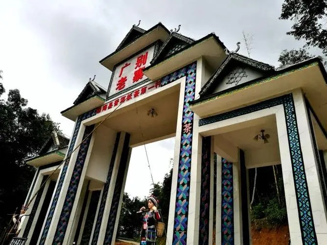 2023年廣別老寨古樹春茶品質(zhì)如何?