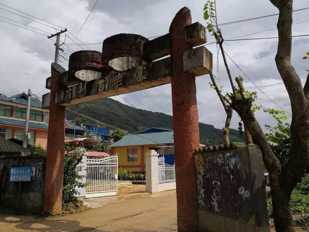 2023年廣別老寨古樹春茶價格多少？