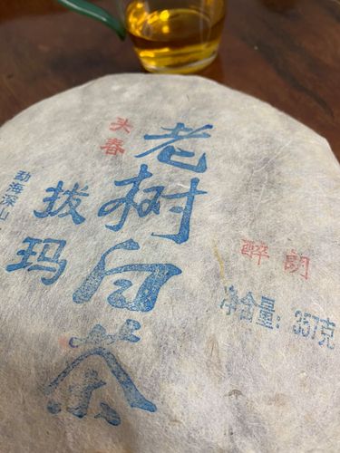 2023年拔瑪老寨古樹春茶口感如何？