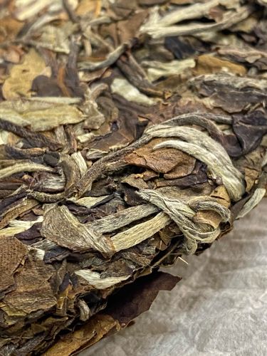 2023年拔瑪老寨古樹春茶特點是什么？