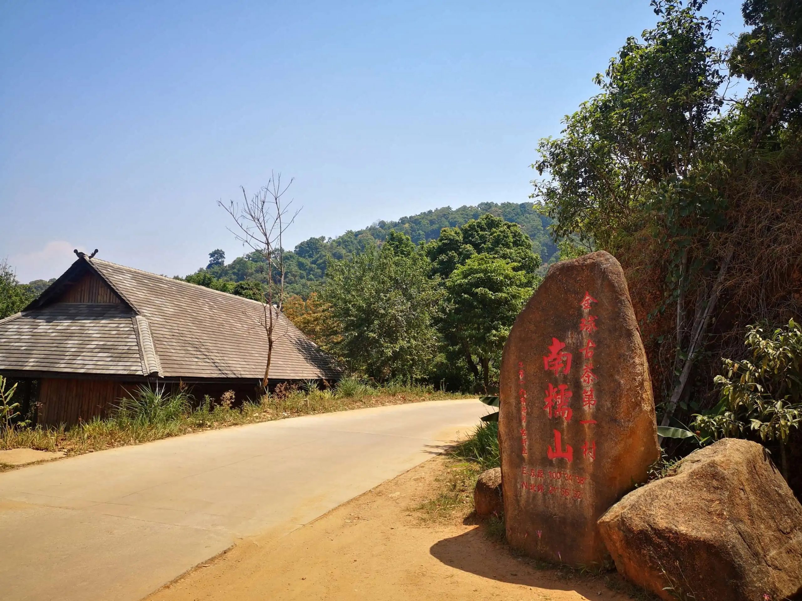 2023年南糯山古樹春茶品質怎么樣？