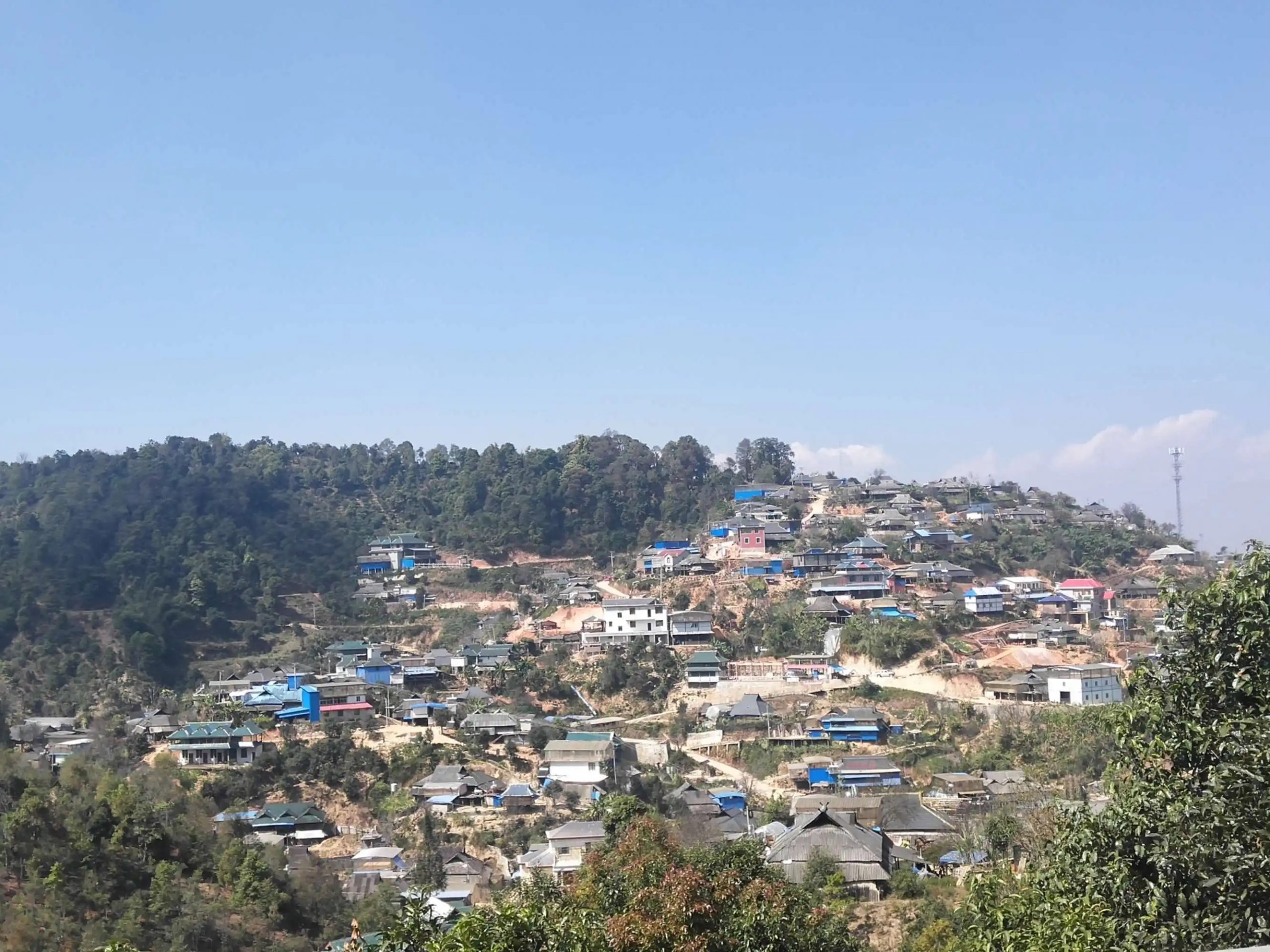 2023年帕沙古樹春茶品質(zhì)如何？