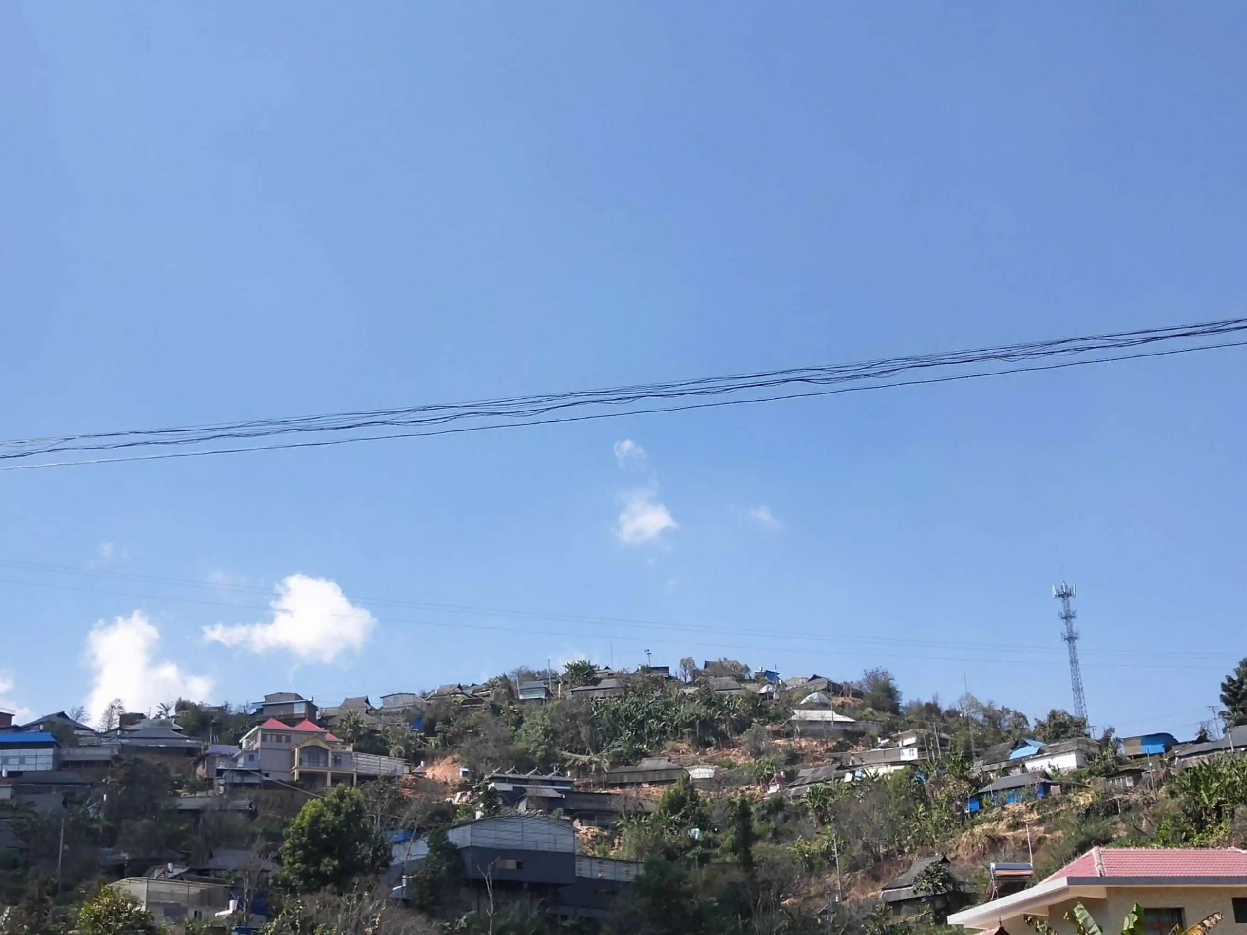 2023帕沙古樹(shù)春茶特點(diǎn)是什么？