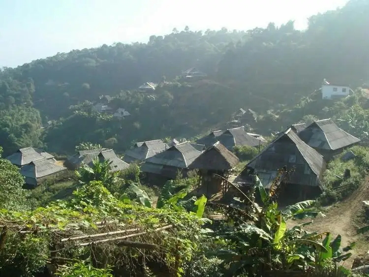 2023年帕沙古樹春茶多少一公斤？