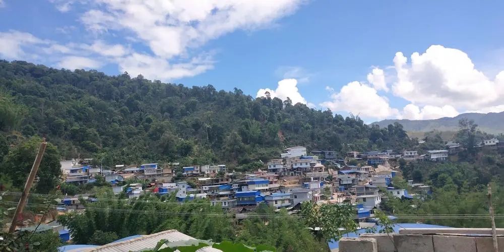 2023年那卡古樹(shù)春茶品質(zhì)如何？